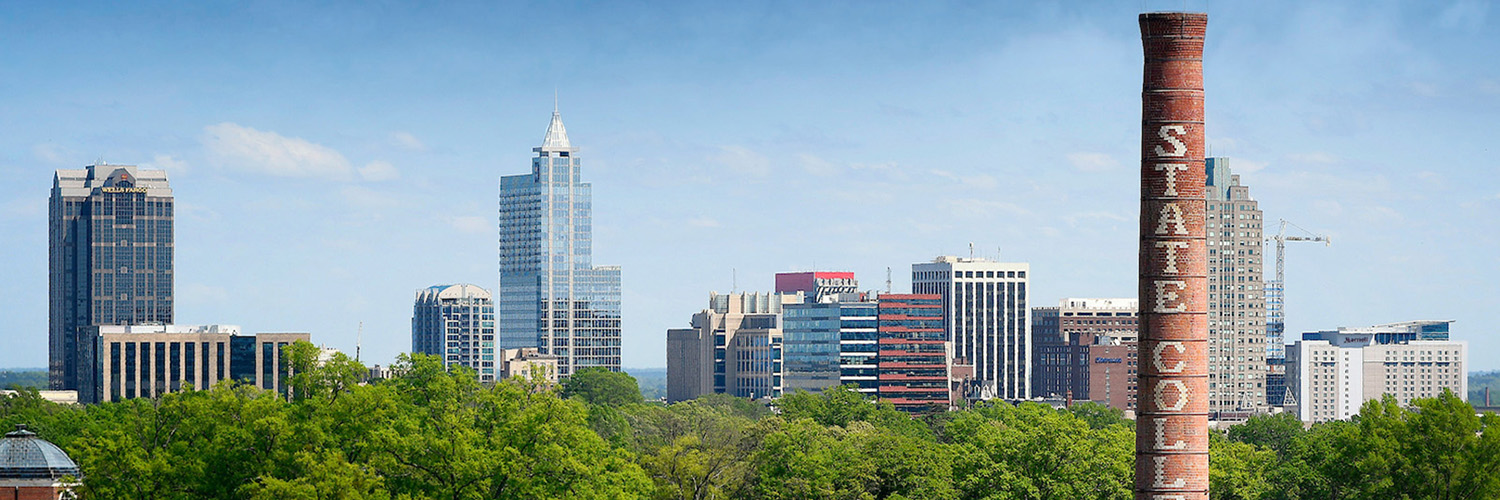 Raleigh Skyline from NC State campus